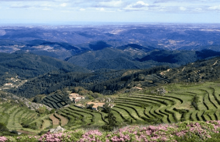 sierra de monchique algarve