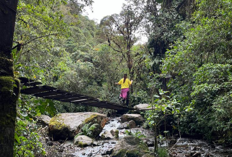 valle de cocora ruta larga