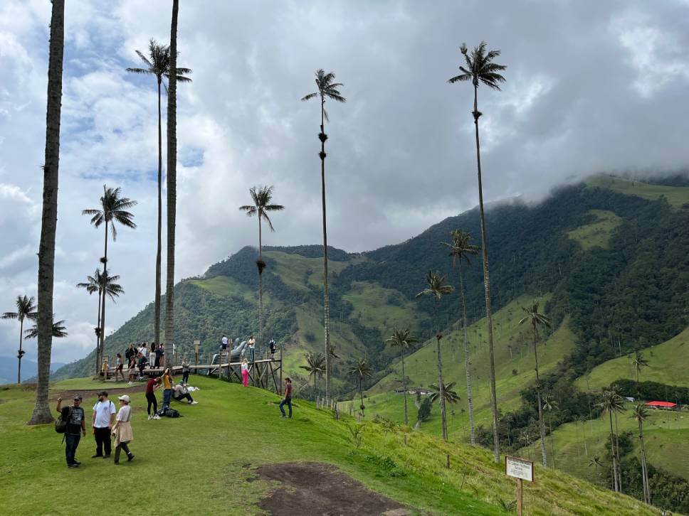valle de cocora eje cafetero 